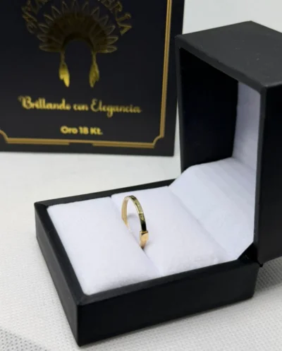 ANILLO CRTIER
